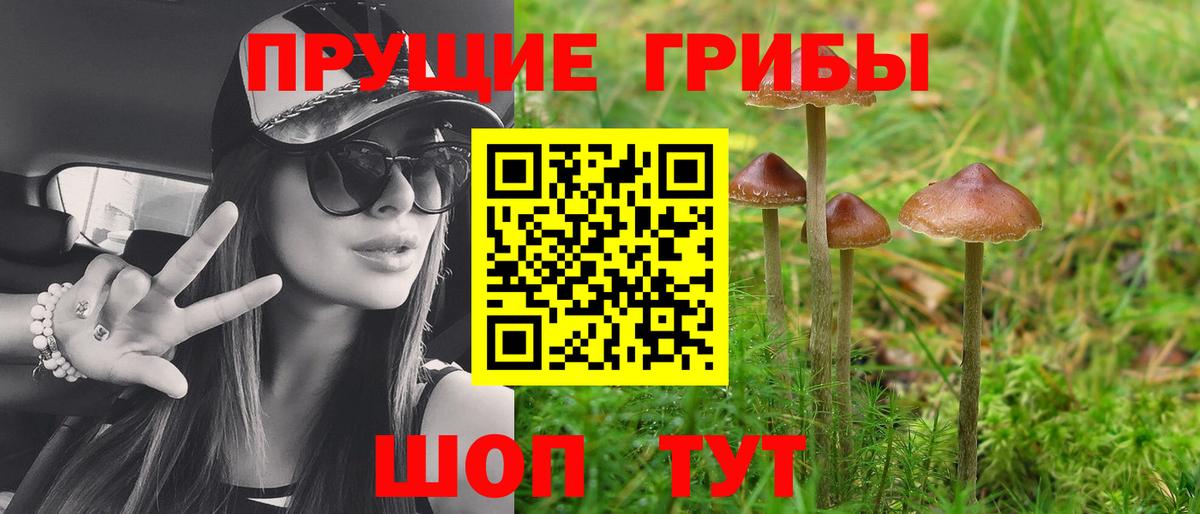 Галлюциногенные грибы мицелий  Вход с VPN  Новочеркасск 